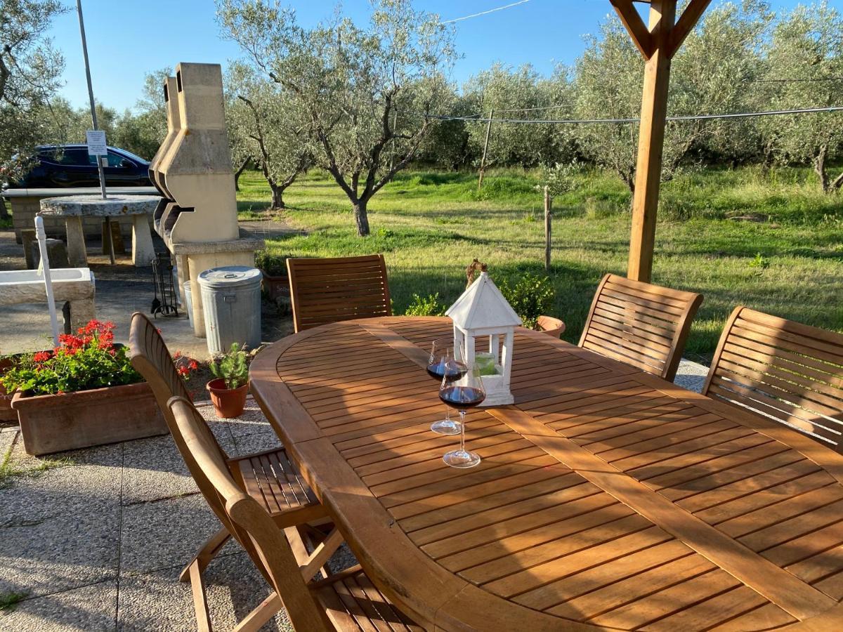 Villa Le Macine Cecina  Exterior foto