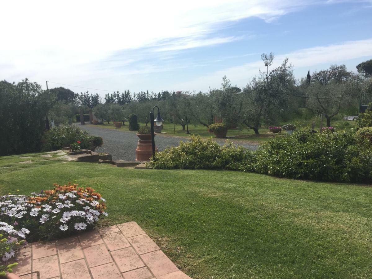 Villa Le Macine Cecina  Exterior foto