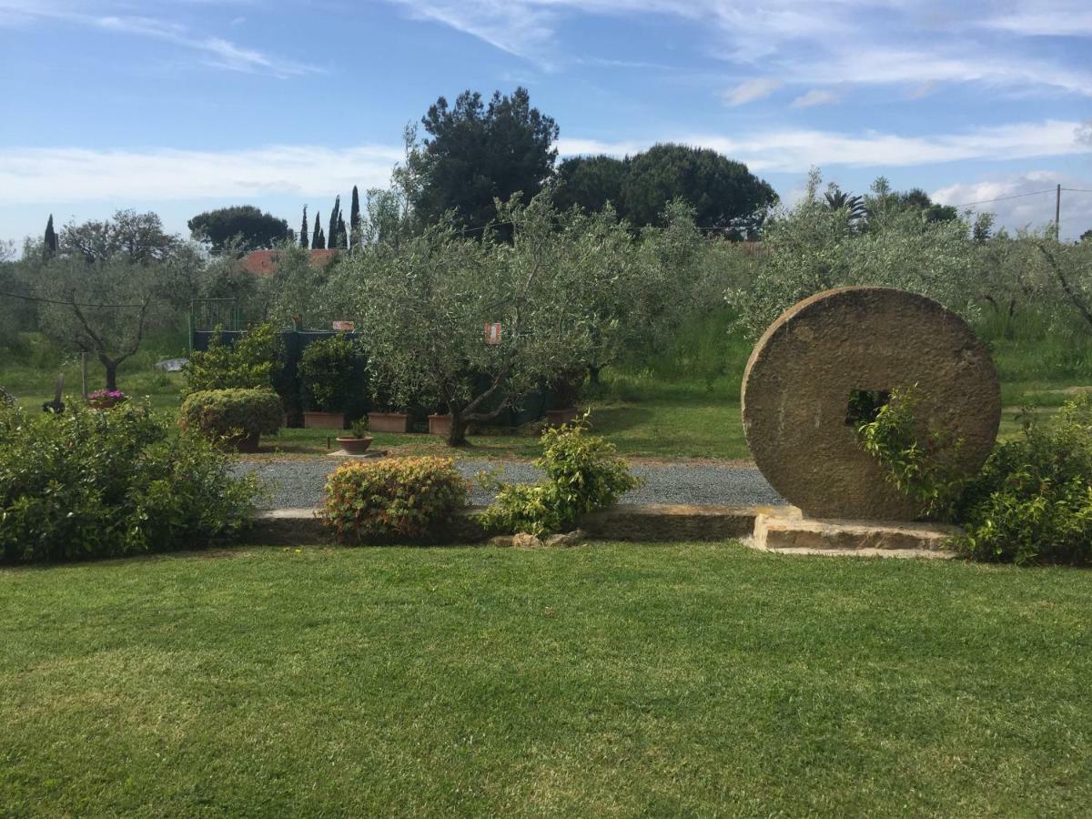 Villa Le Macine Cecina  Exterior foto
