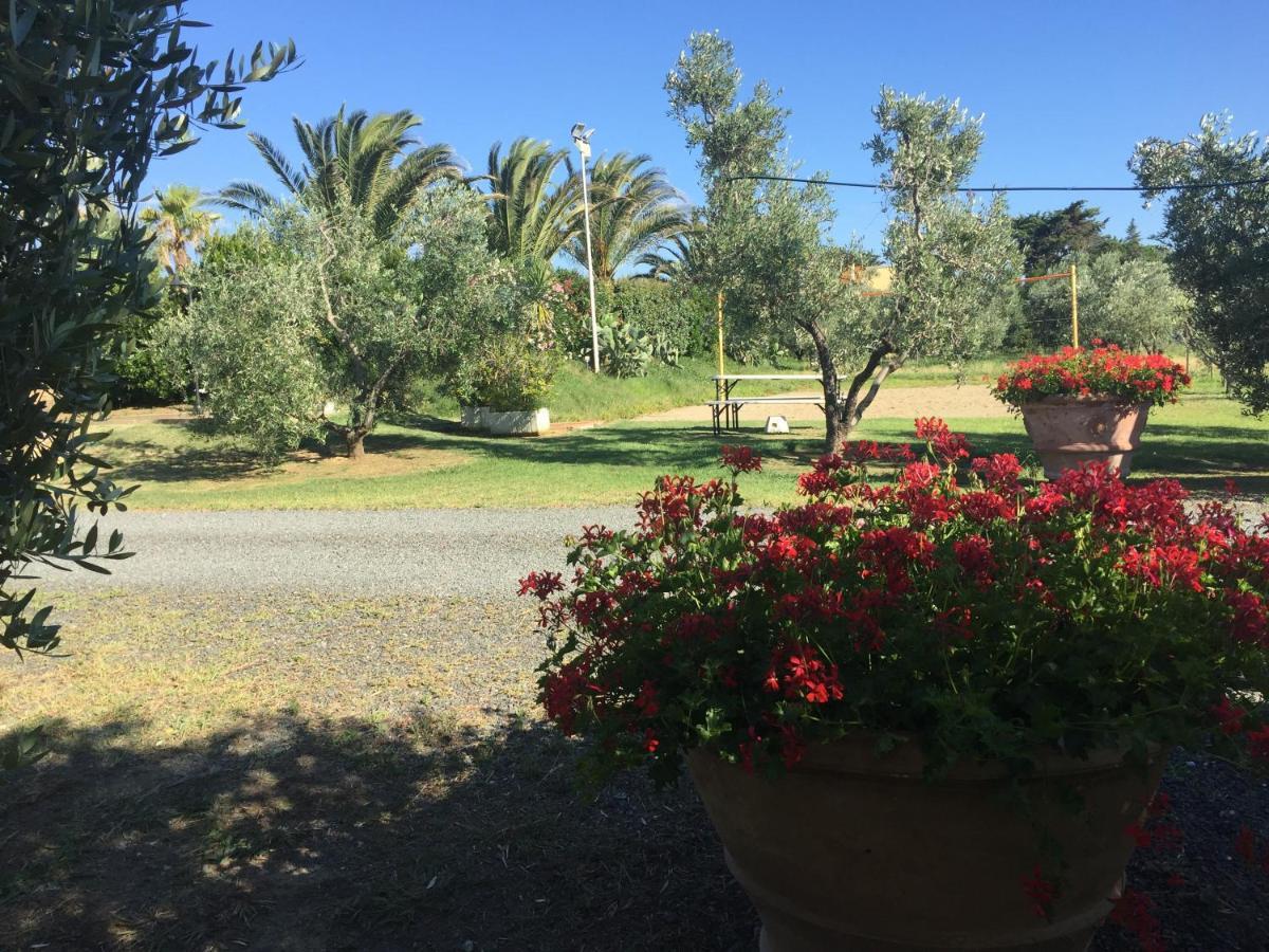 Villa Le Macine Cecina  Exterior foto