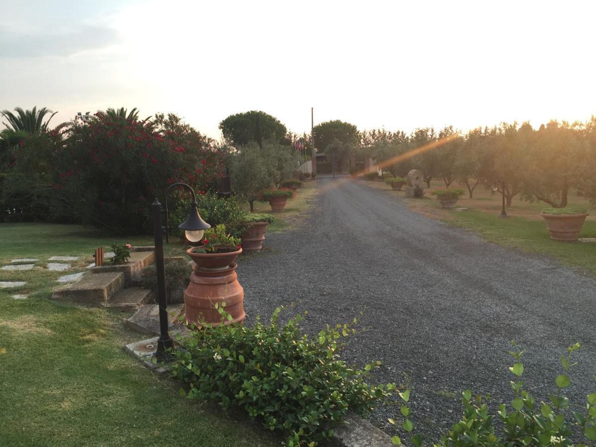 Villa Le Macine Cecina  Exterior foto